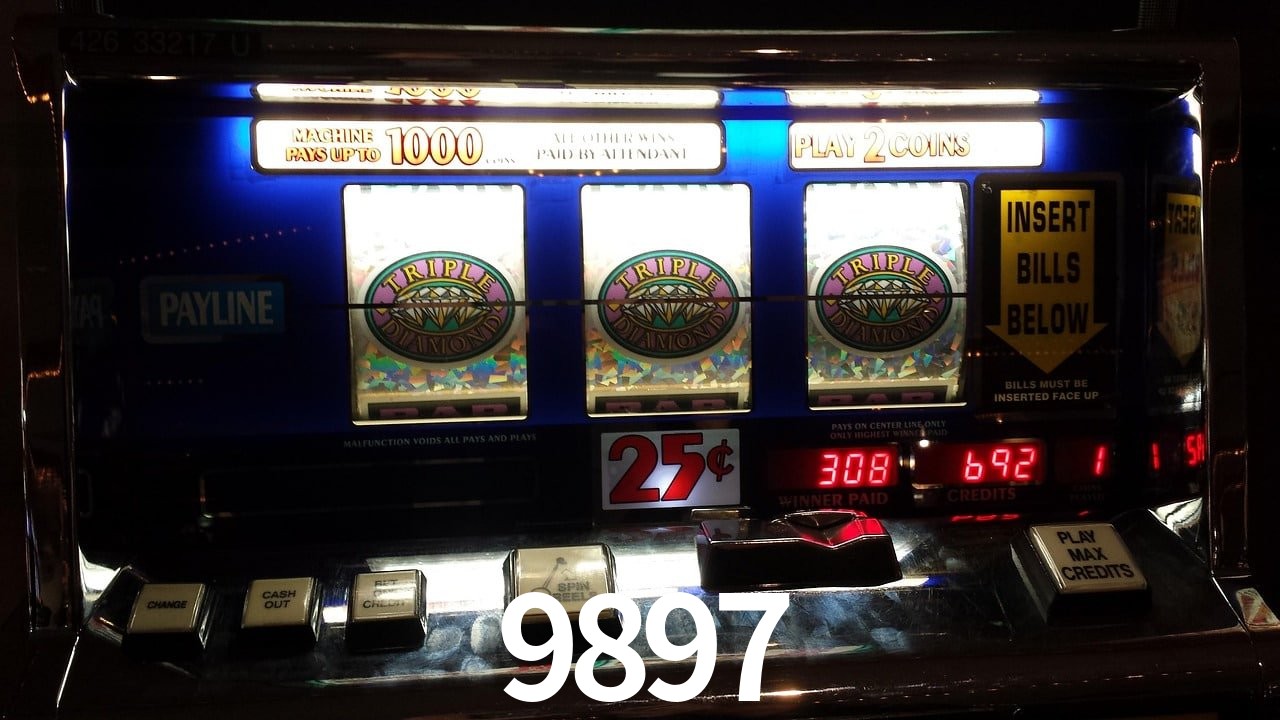 Experiência VIP 9897